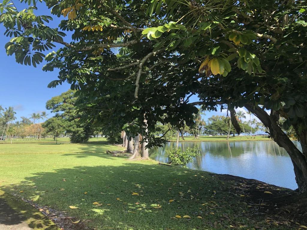 Stunning Views Best Location In Hilo 2Br Modern Condo 外观 照片